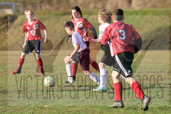 IMG_5907