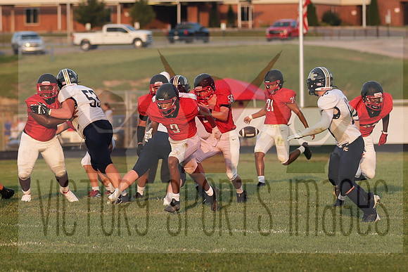 IMG_2894 (2)